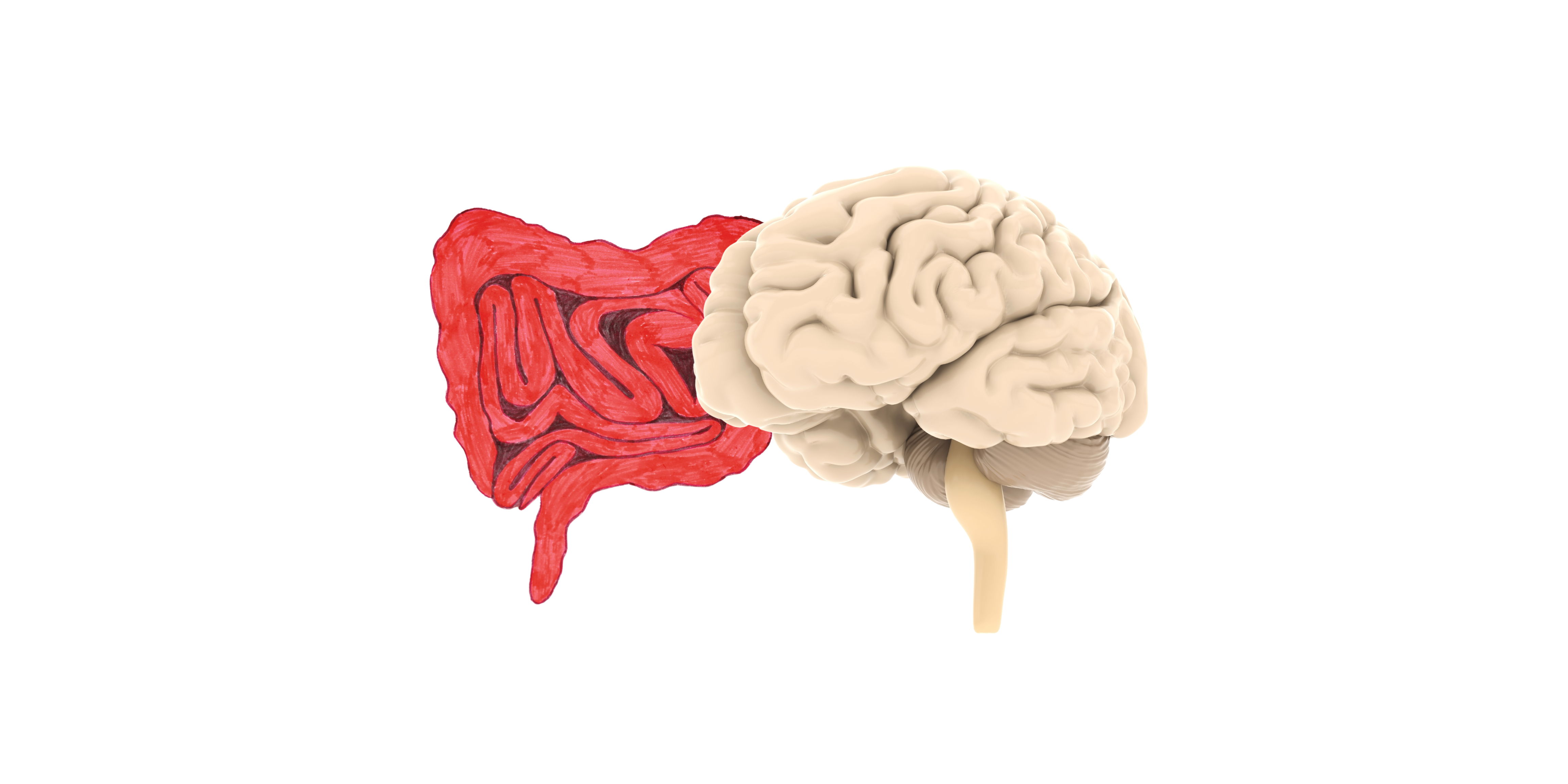 Renew your gut, clear your mind: 8 tips
