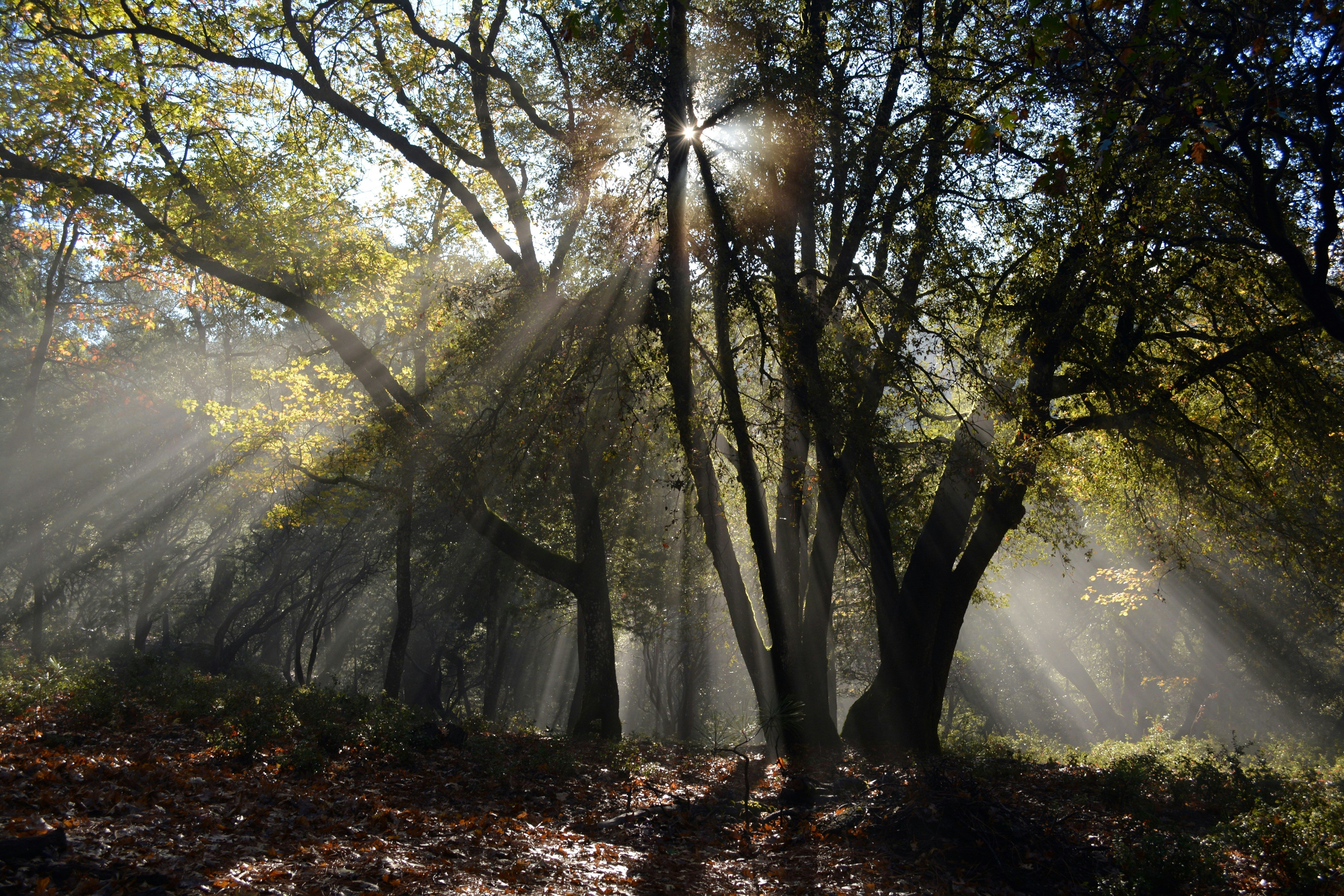 The Importance of Vitamin D: A Must-Have for Every Child’s Health (and Yours)
