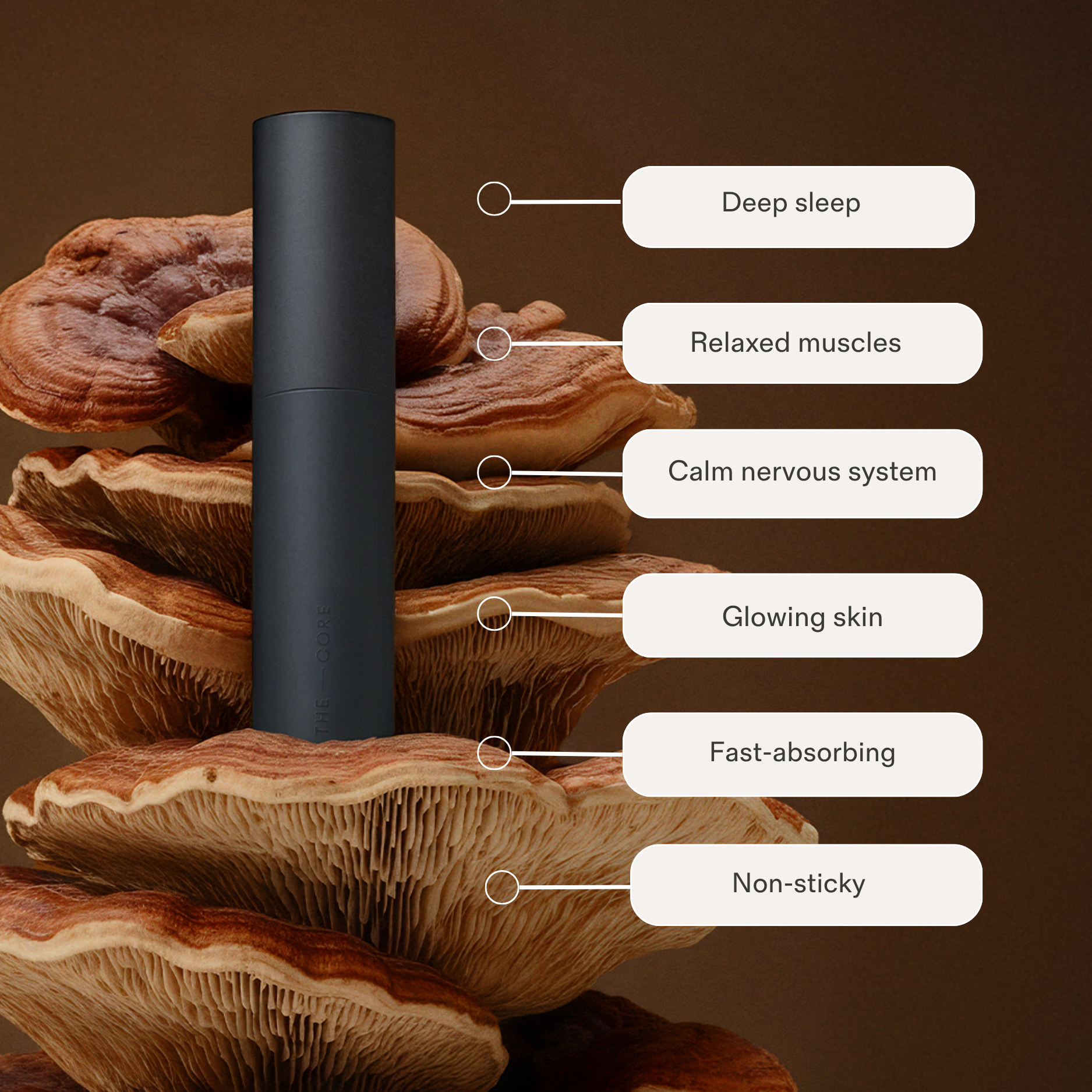 Magnesium Body Spray - The Core Calm Mist™ (Starter Kit)