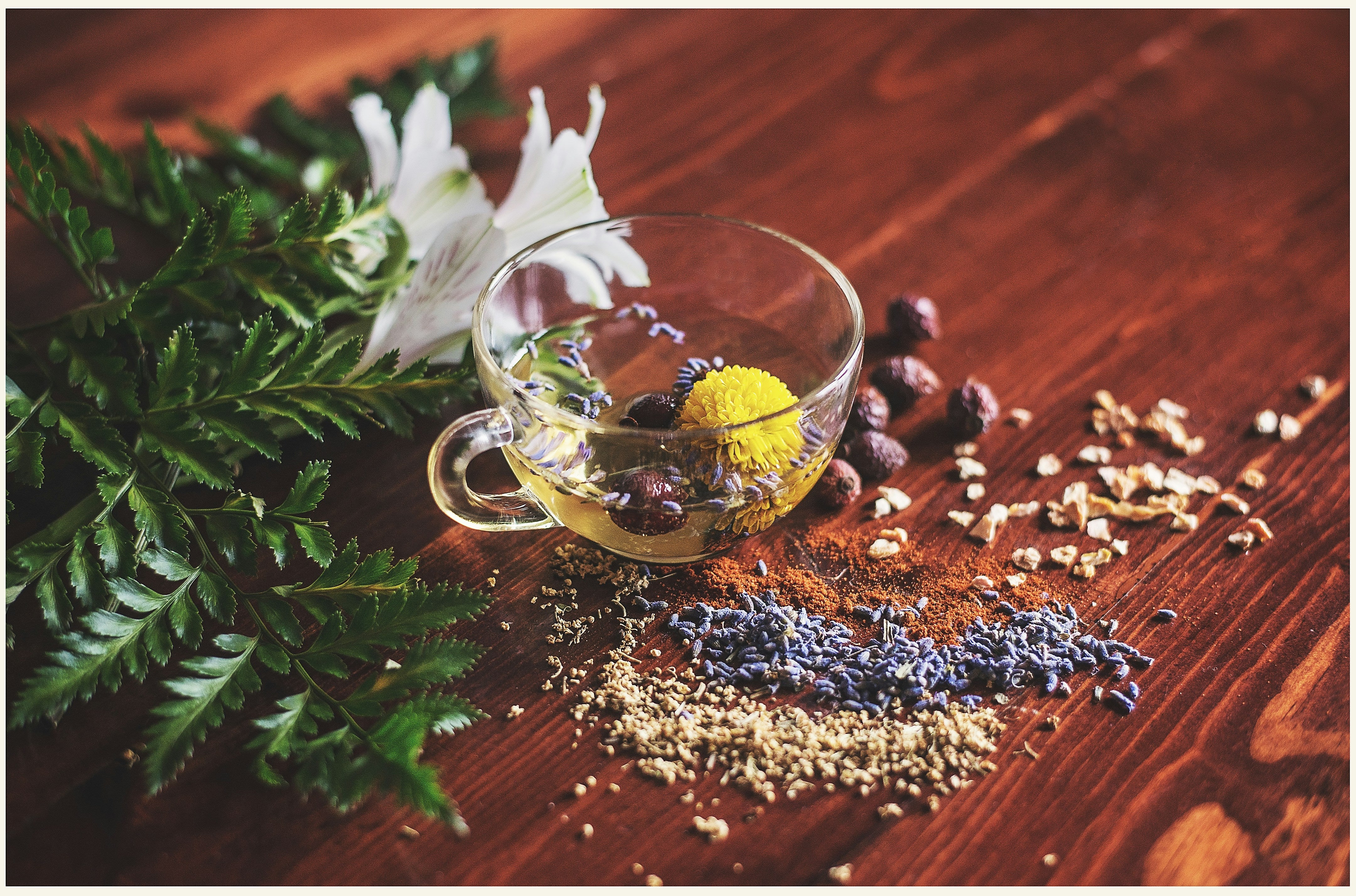 Adaptogens & Stress: Can these Botanicals Enhance Your Body’s Natural Defenses?