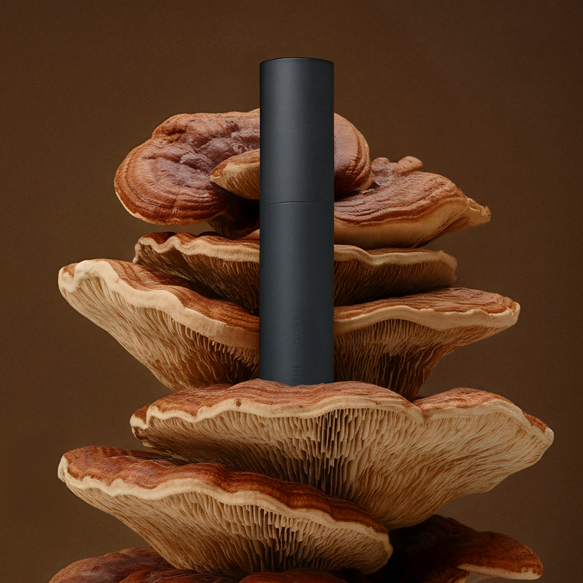 Magnesium Body Spray - The Core Calm Mist™ (Starter Kit)