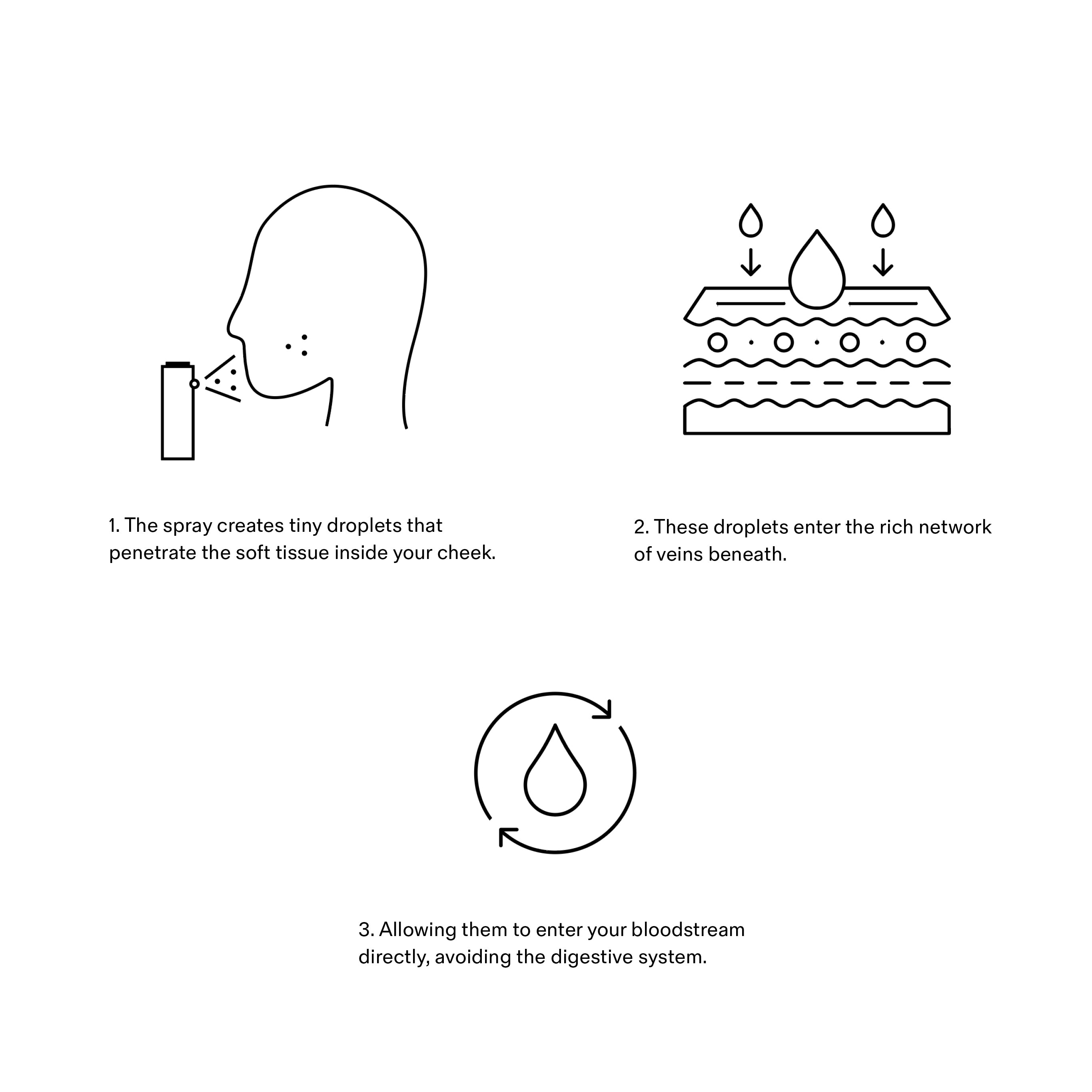 infographic image showing how the sprays absorb better into the bloodstream avoiding the digestive system